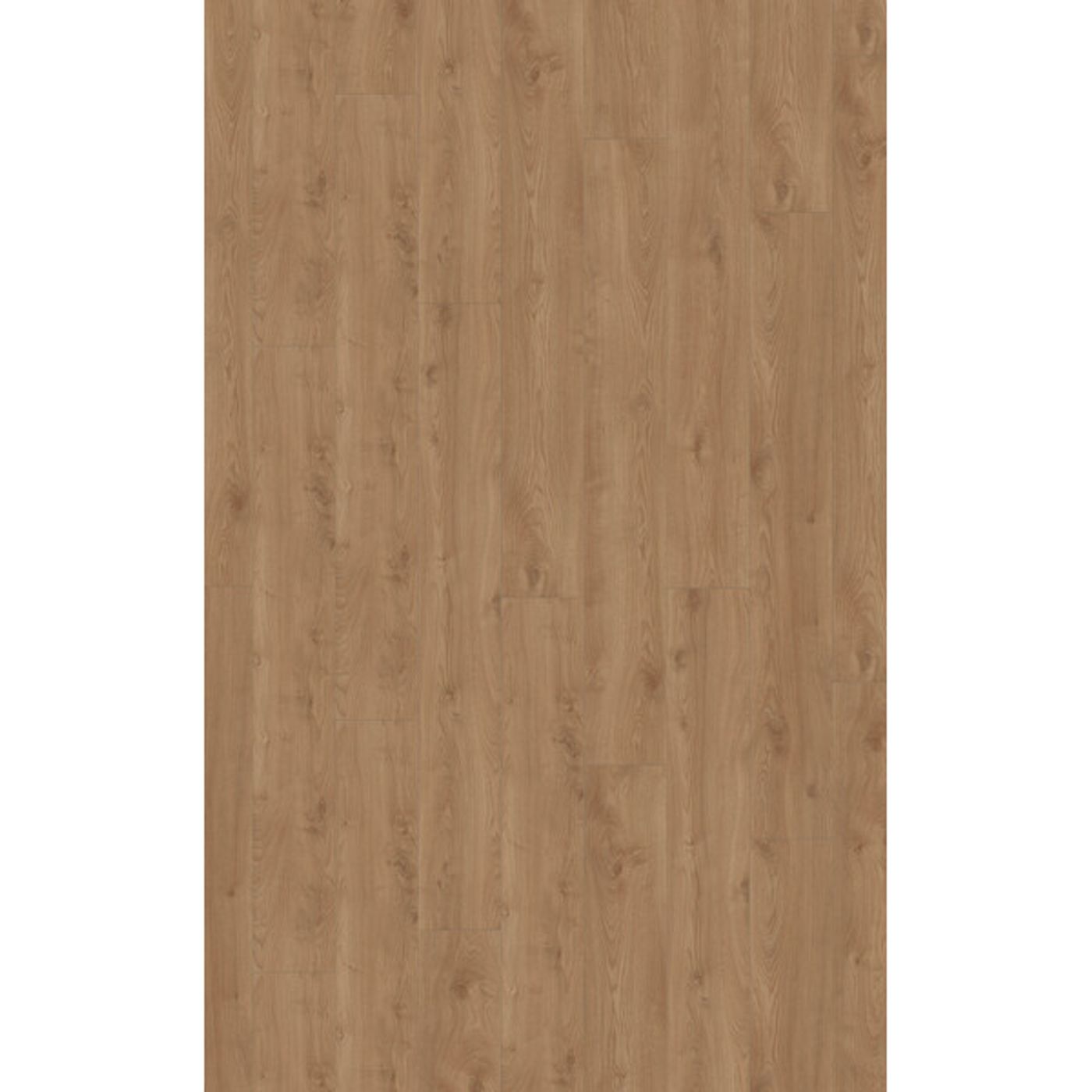 Laminat Kronotex Mammut Plus 41632 Macro Oak Gold
