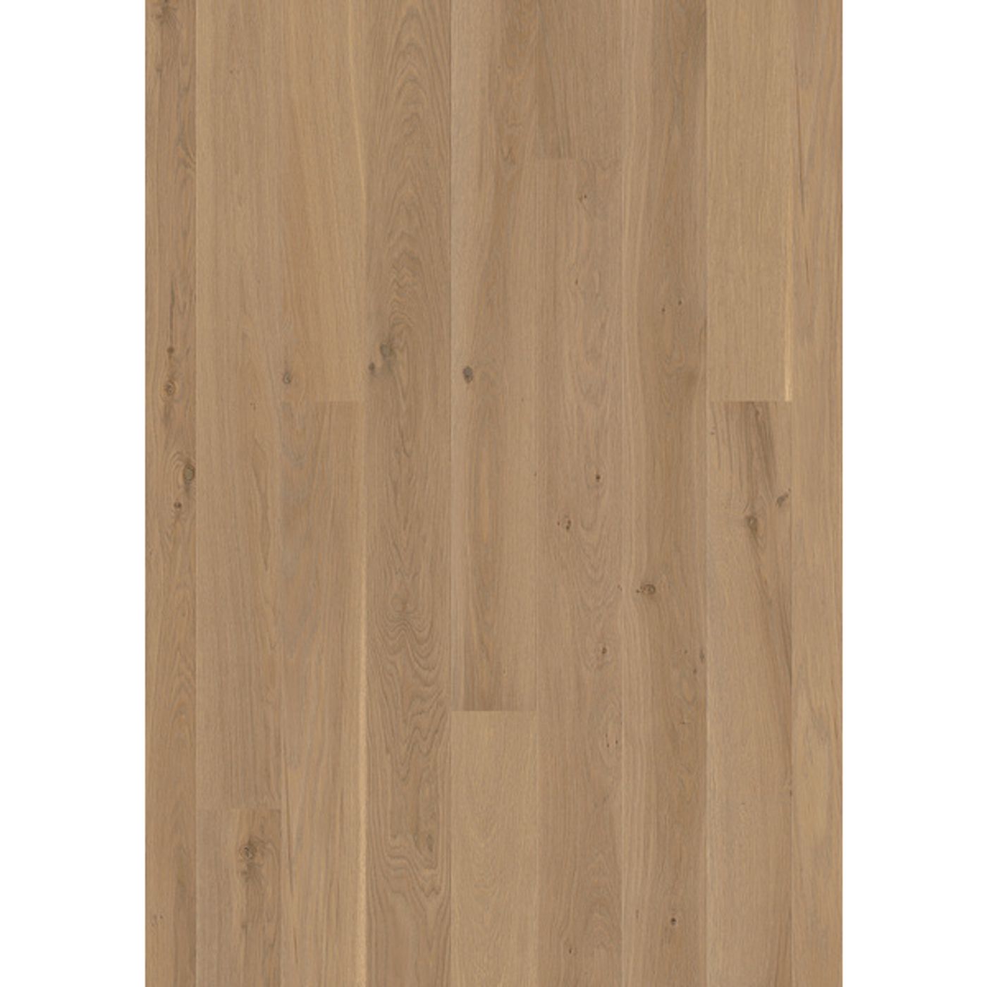 Boen Eik Sand Plank Live Natural Olje Parkett